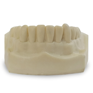 MANDÍBULA COM TODOS OS DENTES - cód. 4700